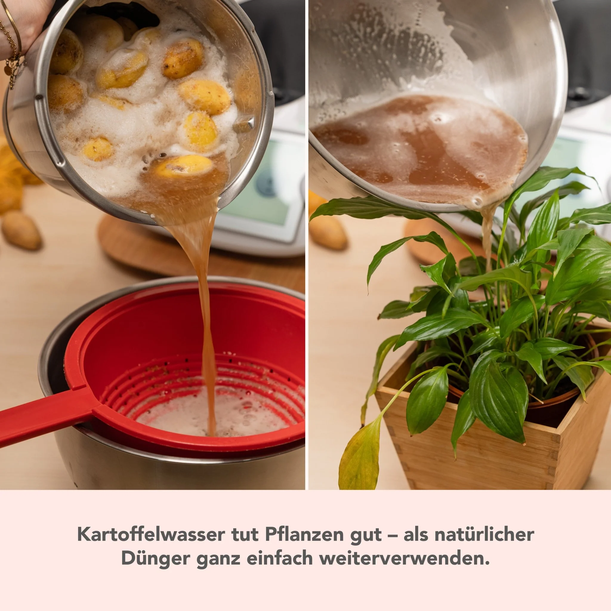 Vorschaubild 9