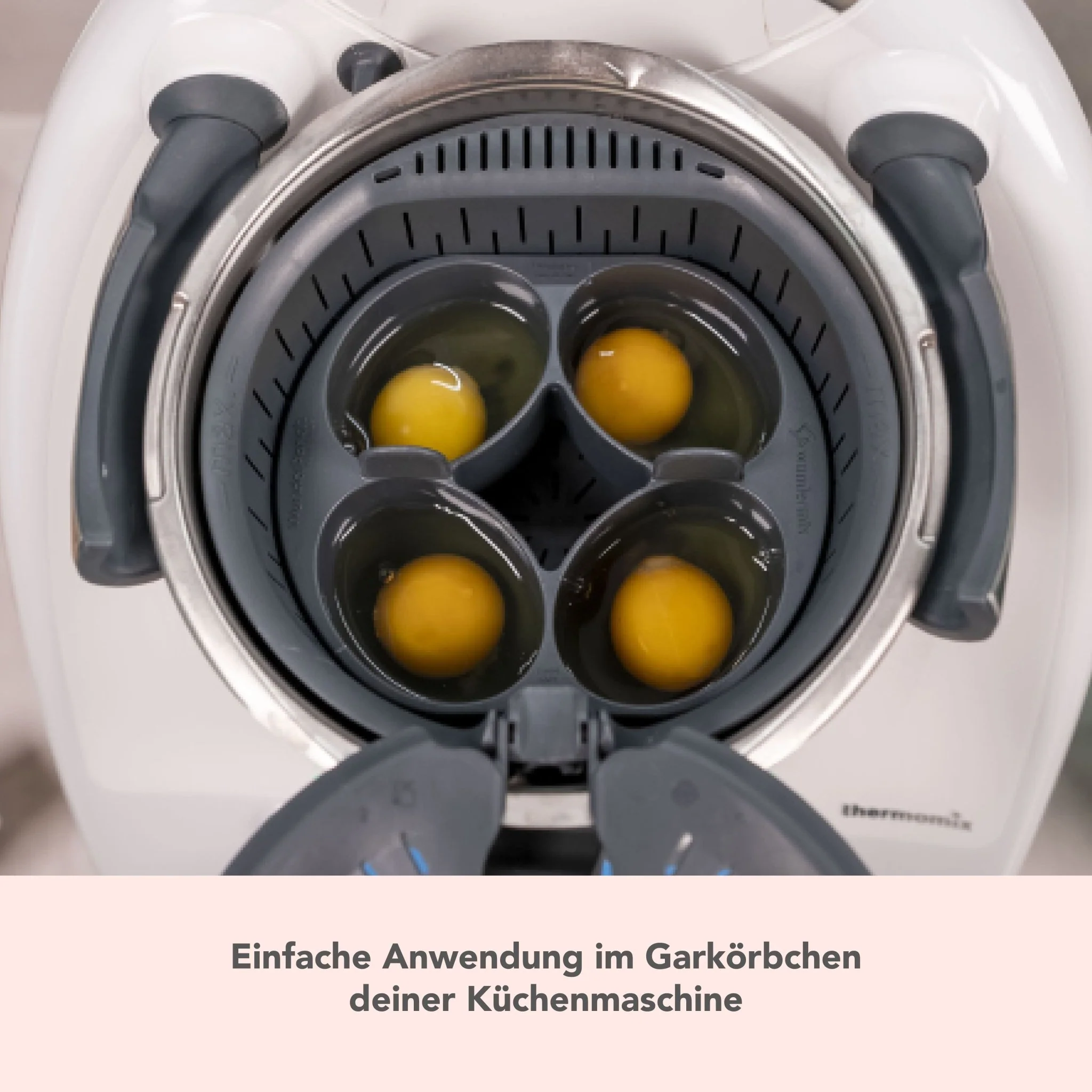 Vorschaubild 8